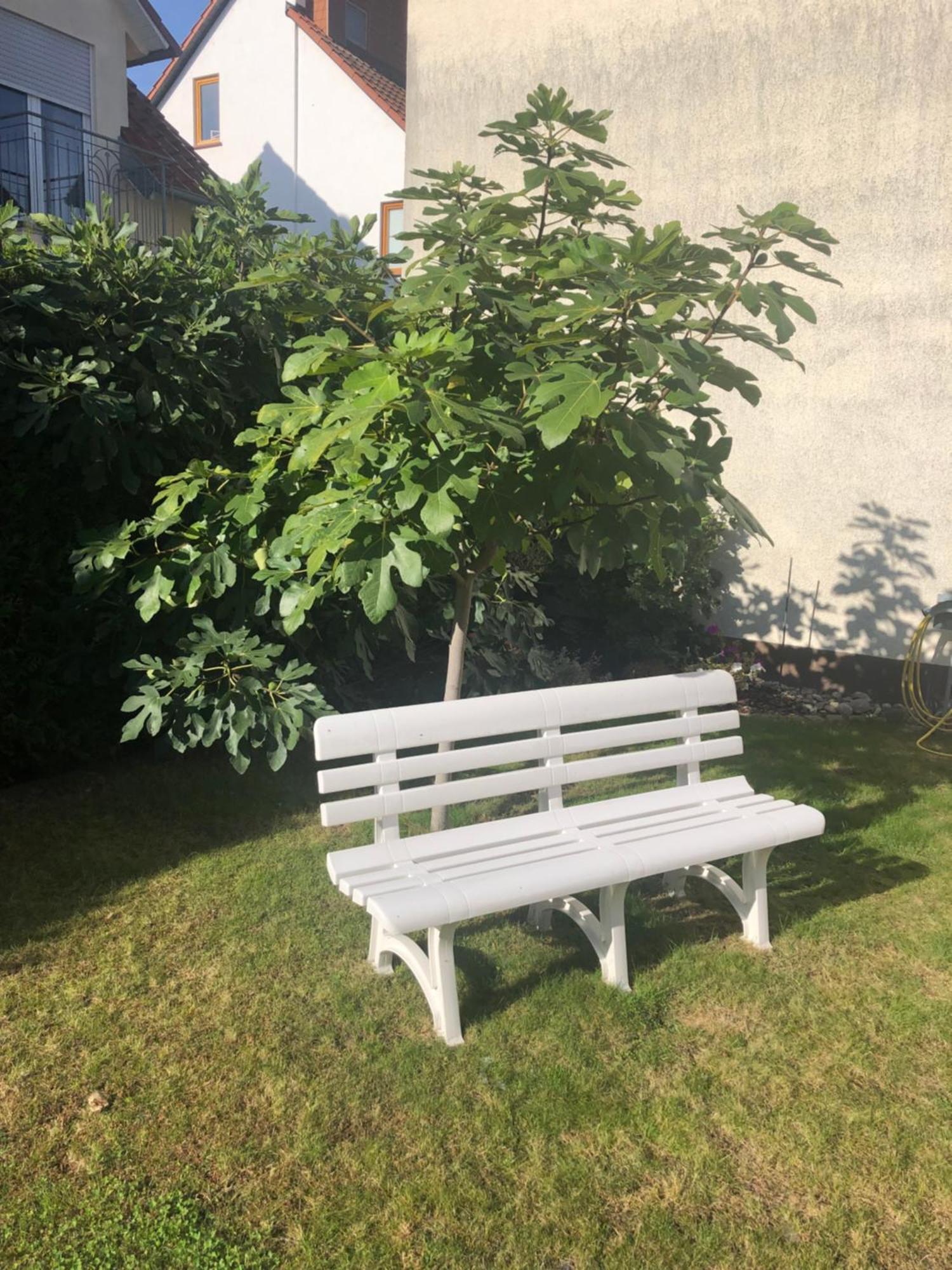 Ferienzimmer Viernheim- Work And Chill Eksteriør bilde